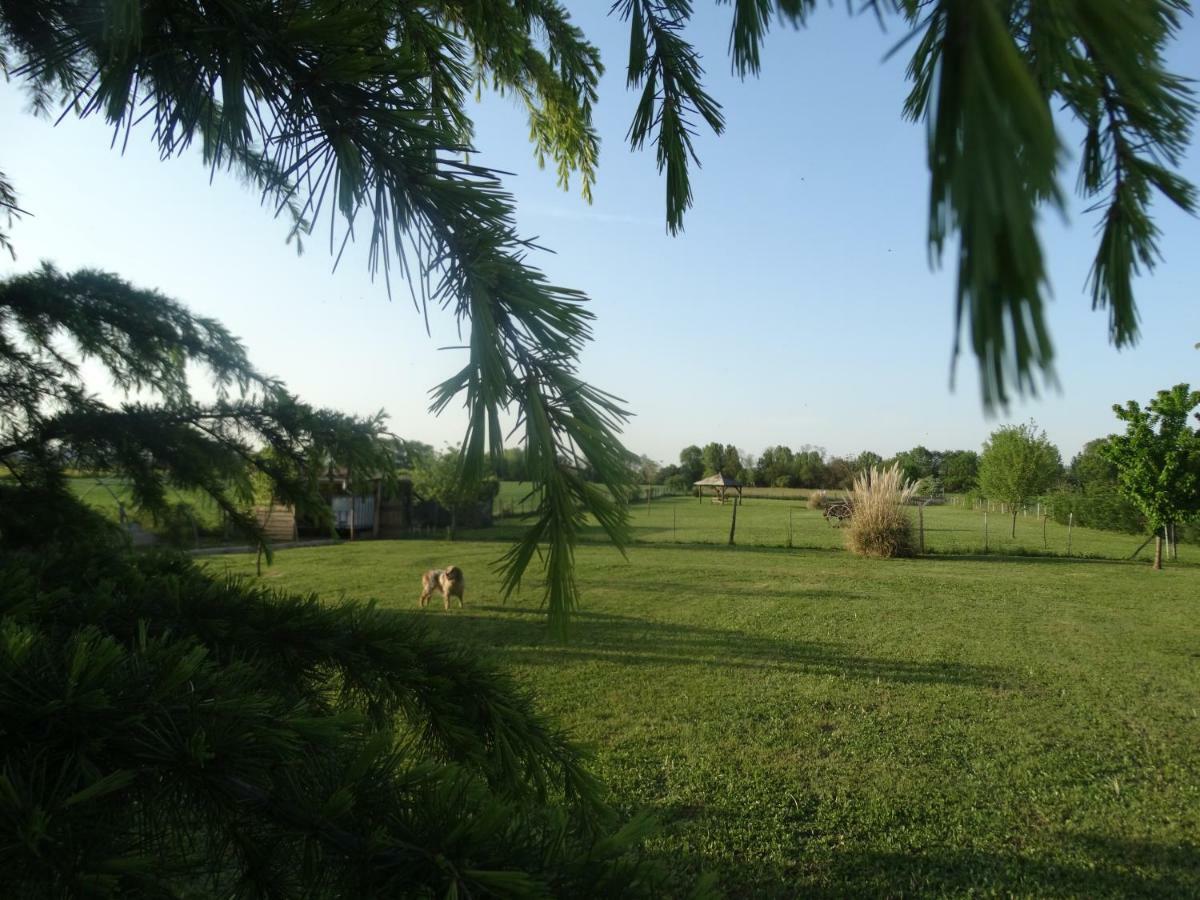 Bed and Breakfast Les Glycines Cheyssieu Екстер'єр фото