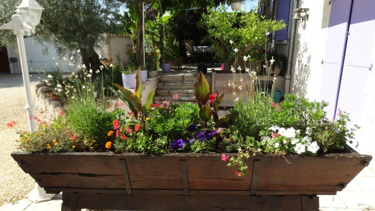 Bed and Breakfast Les Glycines Cheyssieu Екстер'єр фото